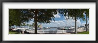 Framed Twin Dolphin Marina, Manatee River, Bradenton, Manatee County, Florida