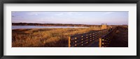 Framed Boardwalk in a state park, Myakka River State Park, Sarasota, Sarasota County, Florida, USA