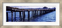 Framed Seagulls on a pier, Whidbey Island, Island County, Washington State, USA