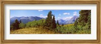 Framed Trees with mountains in the background, Looking Glass, US Glacier National Park, Montana, USA