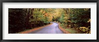 Framed Road passing through a forest, Green Bridge Road, Adirondack Mountains, Thendara, Herkimer County, New York State, USA