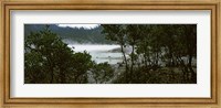 Framed Volcanic lake in a forest, Kawah Putih, West Java, Indonesia