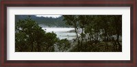 Framed Volcanic lake in a forest, Kawah Putih, West Java, Indonesia