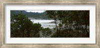 Framed Volcanic lake in a forest, Kawah Putih, West Java, Indonesia