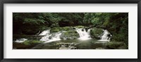 Framed Dingmans Creek flowing through a forest, Dingmans Falls Area, Delaware Water Gap National Recreation Area, Pennsylvania, USA