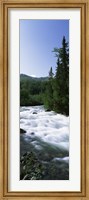 Framed River flowing through a forest, Little Susitna River, Hatcher Pass, Talkeetna Mountains, Alaska, USA