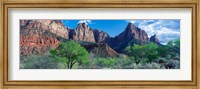 Framed Cottonwood trees and The Watchman, Zion National Park, Utah, USA