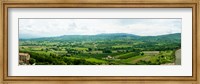 Framed High angle view of a field, Lacoste, Vaucluse, Provence-Alpes-Cote d'Azur, France