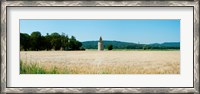 Framed Wheatfield with stone tower, Meyrargues, Bouches-Du-Rhone, Provence-Alpes-Cote d'Azur, France