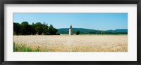 Framed Wheatfield with stone tower, Meyrargues, Bouches-Du-Rhone, Provence-Alpes-Cote d'Azur, France