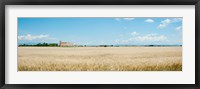 Framed Wheat field with grain elevator near D8, Plateau de Valensole, Alpes-de-Haute-Provence, Provence-Alpes-Cote d'Azur, France