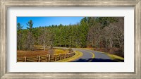 Framed Road passing through a forest, Blue Ridge Parkway, North Carolina, USA