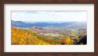 Framed Trees on a hill, North Carolina, USA