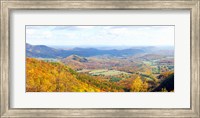 Framed Trees on a hill, North Carolina, USA