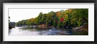 Framed Trees at the Riverside, Musquash River, Muskoka, Ontario, Canada
