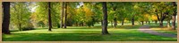 Framed Trees in autumn, Blue Lake Park, Portland, Multnomah County, Oregon, USA