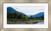 Framed Trees in front of mountains in Quinault Rainforest, Olympic National Park, Washington State, USA