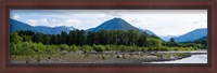 Framed Quinault Rainforest, Olympic National Park, Olympic Peninsula, Washington State