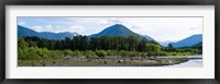 Framed Quinault Rainforest, Olympic National Park, Olympic Peninsula, Washington State