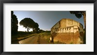 Framed Tombs and umbrella pines along the Via Appia Antica, Rome, Lazio, Italy