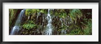 Framed Waterfall in a forest, Hawaii, USA