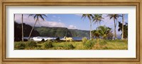 Framed Horse and palm trees on the coast, Hawaii, USA