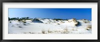 Framed Sand dunes in a desert, St. George Island State Park, Florida Panhandle, Florida, USA