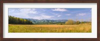 Framed Field with a mountain range in the background, Cades Cove, Great Smoky Mountains National Park, Blount County, Tennessee, USA
