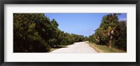 Framed Road passing through Ding Darling National Wildlife Refuge, Sanibel Island, Lee County, Florida, USA