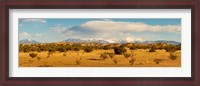 Framed High desert plains landscape with snowcapped Sangre de Cristo Mountains in the background, New Mexico