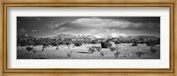 Framed High desert plains landscape with snowcapped Sangre de Cristo Mountains in the background, New Mexico (black and white)