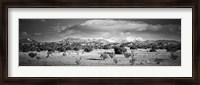 Framed High desert plains landscape with snowcapped Sangre de Cristo Mountains in the background, New Mexico (black and white)