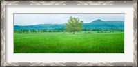 Framed Agricultural field with mountains in the background, Cades Cove, Great Smoky Mountains National Park, Tennessee, USA
