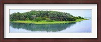 Framed Trees at Rachel Carson Coastal Nature Preserve, Beaufort, North Carolina, USA