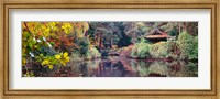 Framed Japanese Garden in autumn, Tatton Park, Cheshire, England