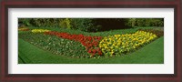Framed Flowers in St. James's Park, City of Westminster, London, England