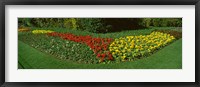 Framed Flowers in St. James's Park, City of Westminster, London, England