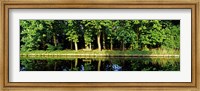 Framed Canal near Lisse, Netherlands