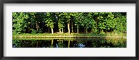 Framed Canal near Lisse, Netherlands