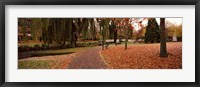 Framed Park at banks of the Avon River, Christchurch, South Island, New Zealand