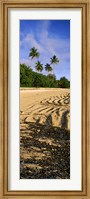 Framed Palm trees on the beach, Rarotonga, Cook Islands, New Zealand