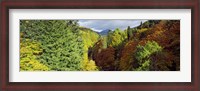 Framed Canyon at Killiecrankie, River Garry, Pitlochry, Perth And Kinross, Scotland