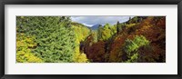 Framed Canyon at Killiecrankie, River Garry, Pitlochry, Perth And Kinross, Scotland