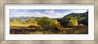 Framed Autumn Rrees at Loch Carron, Scotland