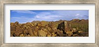 Framed Signal Hill with Petroglyphs, Saguaro National Park, Tucson, Arizona, USA