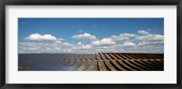 Framed Solar panels in a field, Provence-Alpes-Cote d'Azur, France