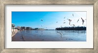 Framed Flock of birds flying at Old Georgetown waterfront, Potomac River, Washington DC, USA