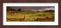 Framed Stone wall in a field, Kula, Maui, Hawaii, USA