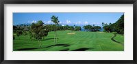 Framed Trees , Kaanapali Golf Course, Maui, Hawaii, USA