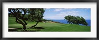 Framed Trees on a golf course, The Manele Golf course, Lanai City, Hawaii, USA
